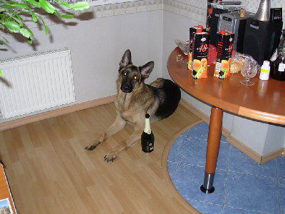 DSCN1586.JPG