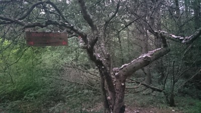DSC_0082.JPG