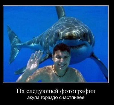 фотка.jpg