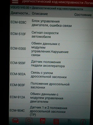 IMAG0552.jpg