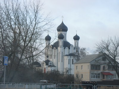 IMG_1768.jpg