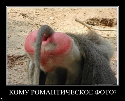 фото.jpg