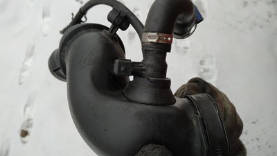 IMG_20190223_125241.jpg