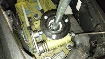 DSC_1135.JPG