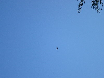 P1020122.JPG